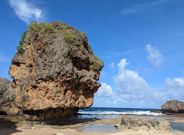 northern-mariana-islands/tinian-island/landmark/old-man-by-the-sea