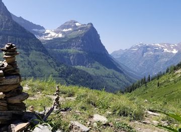 montana/glacier-national-park/landmark/glacier-national-park-goat-lick