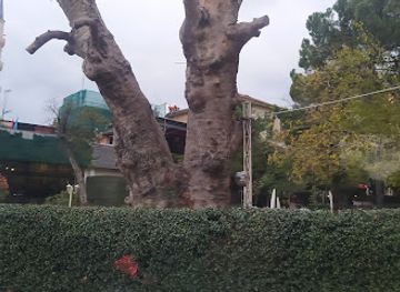 albania/tirana/landmark/rrapi-te-ura-e-tabakes