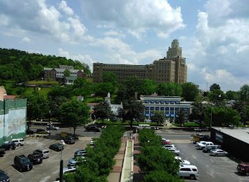 arkansas/hot-springs/landmark/duck-amphibious-sightseeing