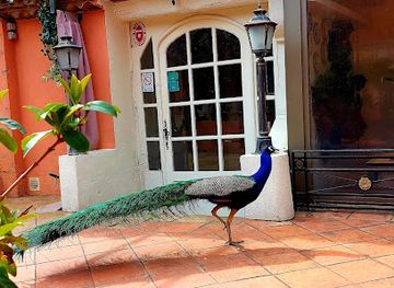 france/saint-tropez/landmark/villa-azur-saint-tropez