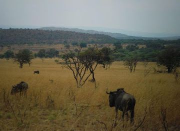 south-africa/bushveld/landmark/kamonande-nature-reserve