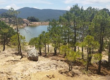 mexico/guanajuato/landmark/el-pinalito-de-palomas