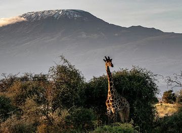 kenya/kilimanjaro-region/landmark/kilimanjaro-bound-ltd