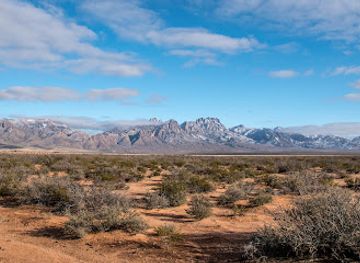 new-mexico/white-sands/landmark/organ-needle