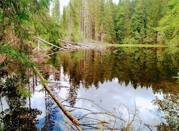 czechia/sumava-national-park/landmark/informacni-stredisko-narodniho-parku-sumava-idina-pila