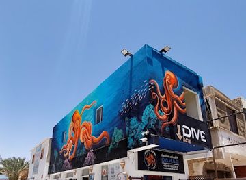 egypt/dahab/landmark/octopus-divers-the-dive-school-in-dahab-hostel