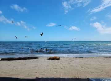 belize/hopkins/landmark/semiti-giffiti