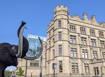 canada/halifax/landmark/museum-of-natural-history
