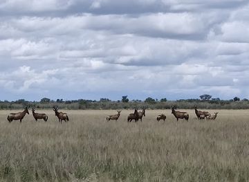 botswana/kgatleng-district/landmark/khutse-game-reserve