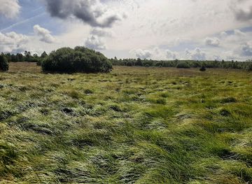 belgium/hautes-fagnes/landmark/fagne-de-la-poleur