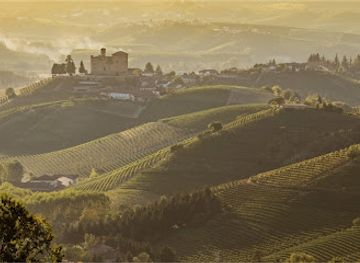 italy/roero/landmark/langa-wine-tour