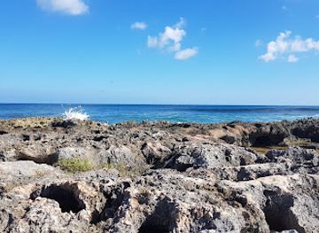 the-bahamas/cat-island/landmark/cat-island-experience