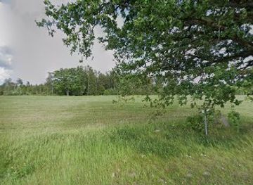 estonia/estonian-islands/landmark/leissaare-tamm