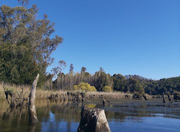chile/valdivia/landmark/rio-vivo