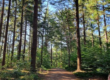 netherlands/utrechtse-heuvelrug/landmark/kabouterpad