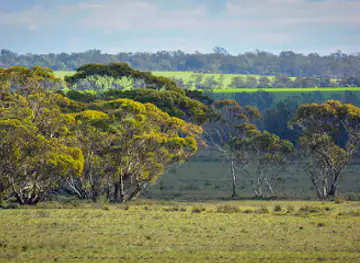 Mallee Cliffs National Park