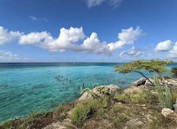 aruba/natural-pool/landmark/mangel-halto-beach