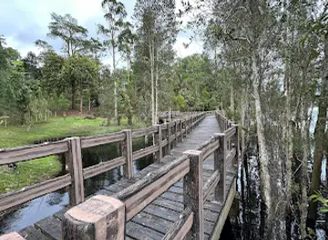 Labi Forest Reserve