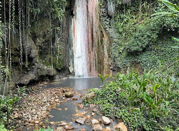 saint-lucia/soufriere/landmark/diamond-waterfall