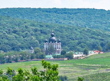moldova/lapusna-county/landmark/curchi-monastery