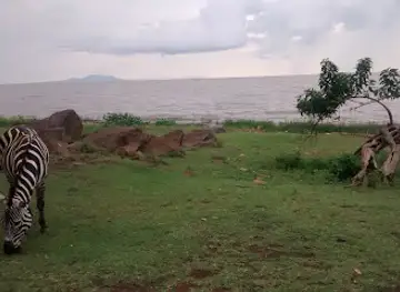Kisumu Impala Park Wildlife Sanctuary Office