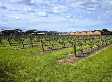 Chateau Tanunda