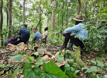 gabon/mayombe-forest/landmark/241tour