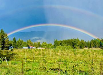 montana/columbia-falls/landmark/white-raven-winery-and-vineyard