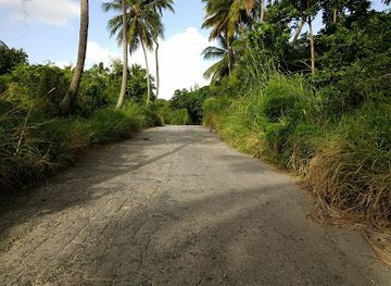 barbados/cherry-tree-hill/landmark/andromeda-botanic-gardens
