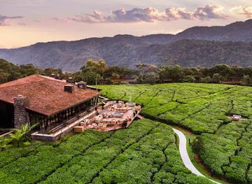 rwanda/western-province/landmark/one-only-nyungwe-house