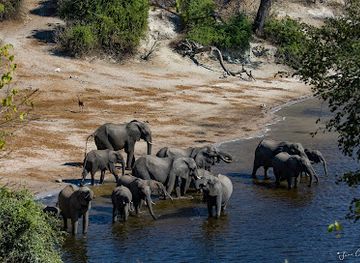 botswana/chobe-district/landmark/chobe-river