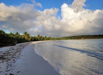 puerto-rico/vieques-island/landmark/media-luna-beach