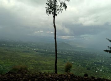 rwanda/karisimbi-volcano/landmark/rwanda-gorilla-safari