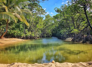 australia/daintree-rainforest/landmark/cow-bay-beach