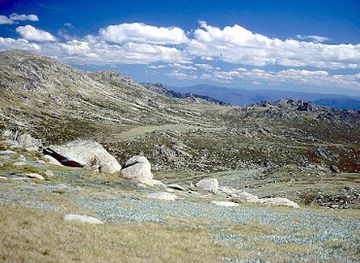 australia/mount-kosciuszko/landmark/mt-kosciuszko