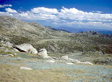 Mt Kosciuszko