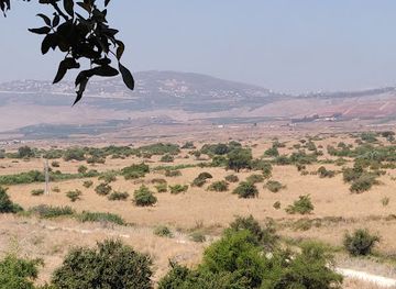 israel/galilee-region/landmark/tel-dan-nature-reserve