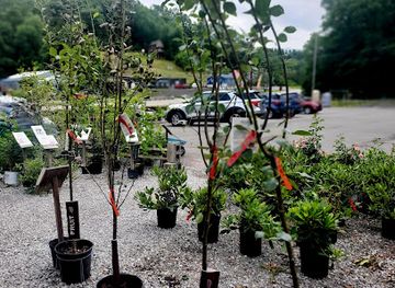 west-virginia/elkins/landmark/crazy-harry-s-greenhouse-llc