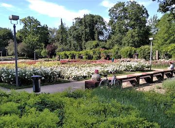 poland/szczecin-lagoon/landmark/rozanka-rose-garden