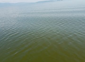 ethiopia/awasa/landmark/hawassa-ethiopia