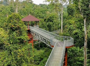 malaysia/taman-negara-national-park/landmark/taman-negara-sungai-relau