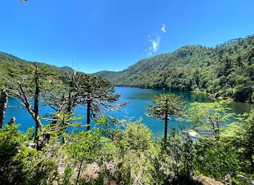 chile/pucon/landmark/parque-nacional-huerquehue