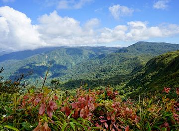 Monteverde Cloud Forest Biological Preserve