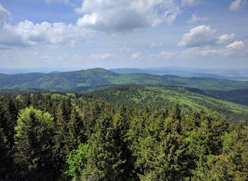 czechia/beskydy-mountains/landmark/borowkowa-gora