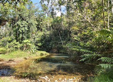 puerto-rico/yunque-national-forest/landmark/bosque-estatal-de-carite