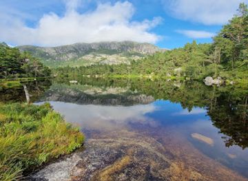 norway/preikestolen/landmark/rindatrollet