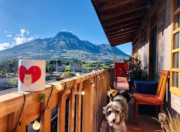 ecuador/imbabura-region/landmark/hoppy-alpaca-hostel