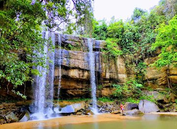 kenya/coastal-region/landmark/shimba-hills-national-reserve