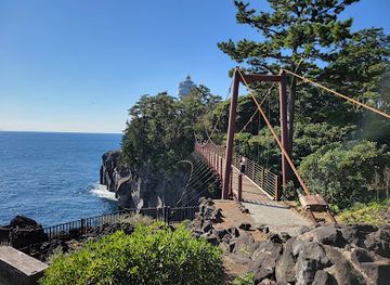japan/izu/landmark/jogasaki-coast